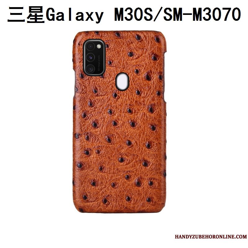 Skal Samsung Galaxy M30s Skydd Anpassatelefon, Fodral Samsung Galaxy M30s Lyxiga Bakre Omslag Fallskydd