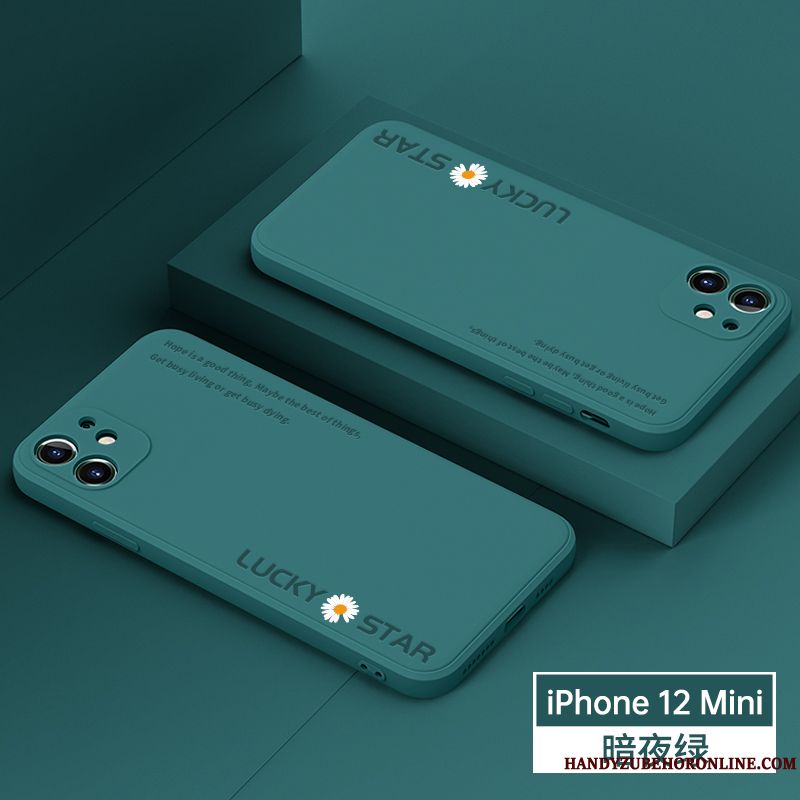 Skal iPhone 12 Mini Mjuk Purpur Personlighet, Fodral iPhone 12 Mini Skydd Telefon Fallskydd
