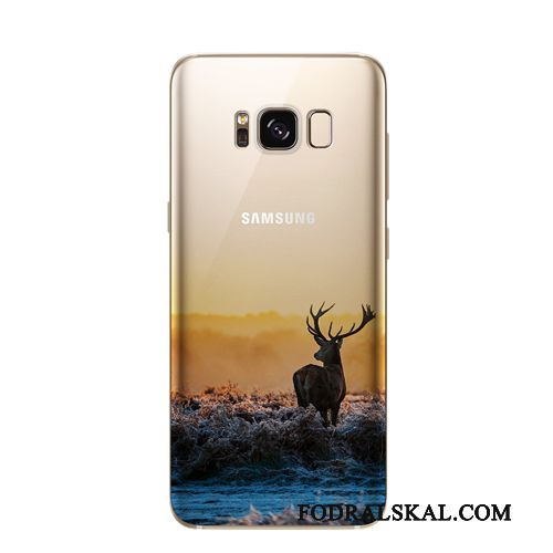 Skal Samsung Galaxy S8 Skydd Tillbehörtelefon, Fodral Samsung Galaxy S8 Mjuk Trend Enkel