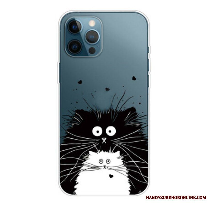 Skal iPhone 13 Pro Max Titta På Katterna